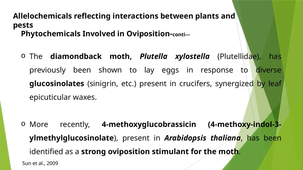 PLPT 609 Title: Inter-Relationships Between - slide 5 of 19