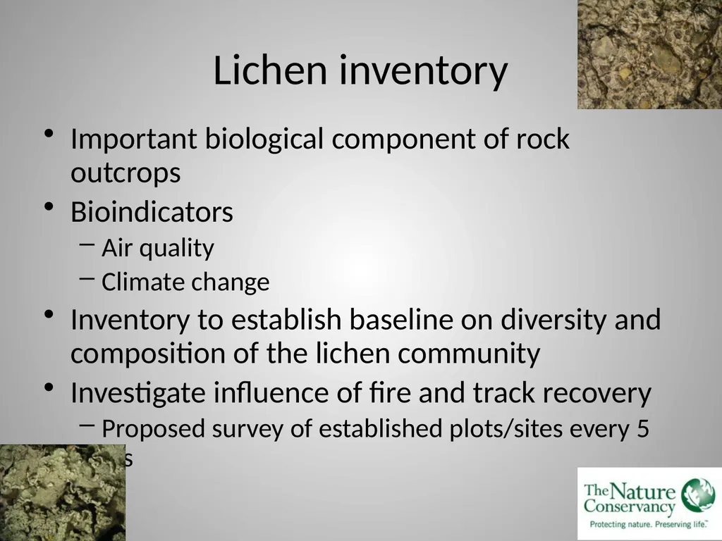 Monitoring Conservation Easement Lands in Orange - slide 14 of 19