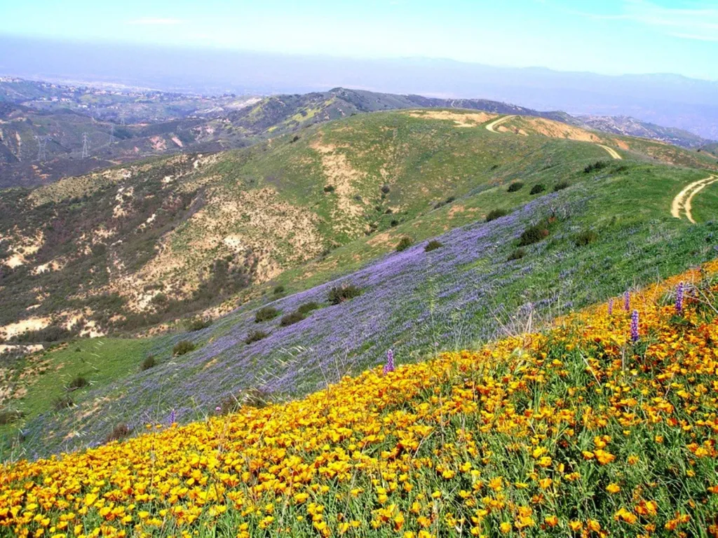 Monitoring Conservation Easement Lands in Orange - slide 19 of 19