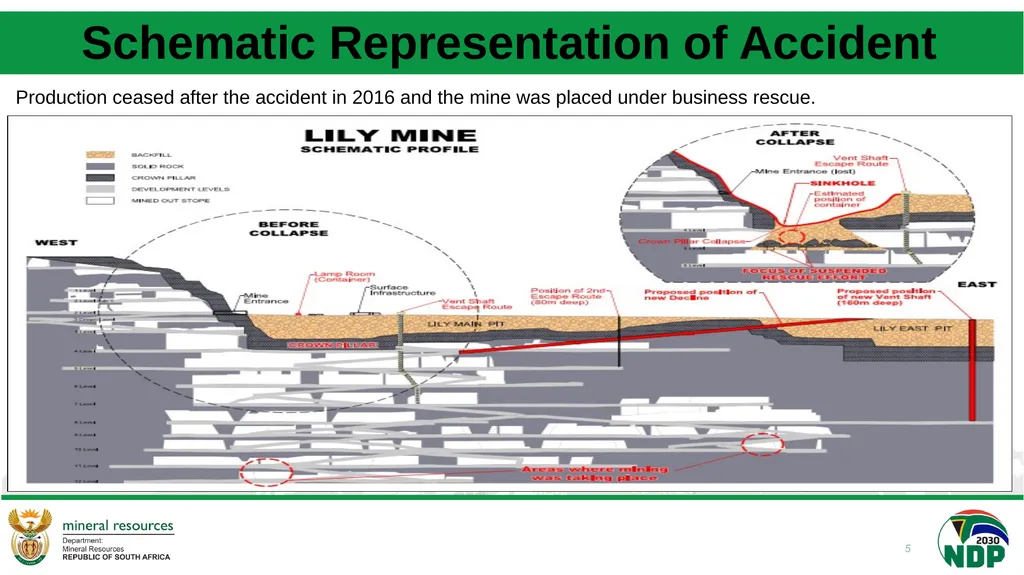 PPC PRESENTATION ON LATEST DEVELOPMENTS AT LILY - slide 5 of 10