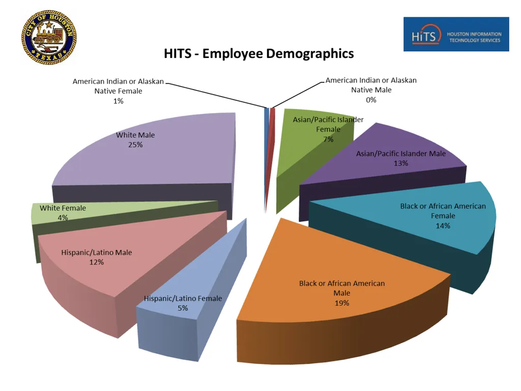 Houston Information Technology Services (HITS) - slide 15 of 18