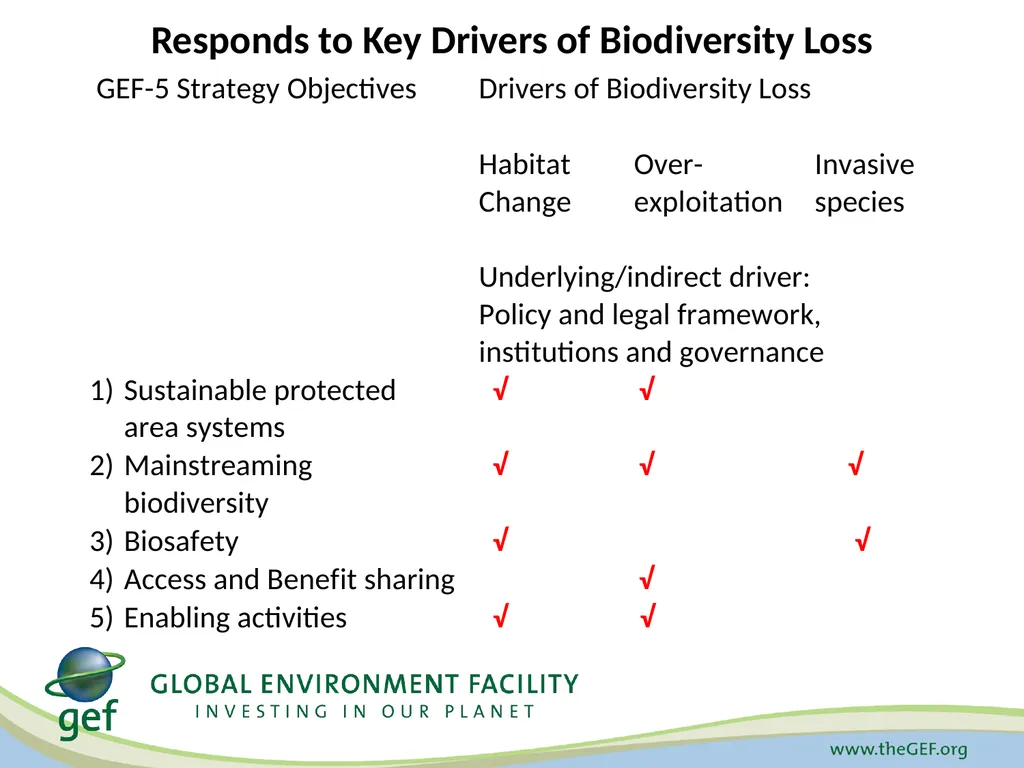 CBD Presentation A Decade for Biodiversity: - slide 9 of 12