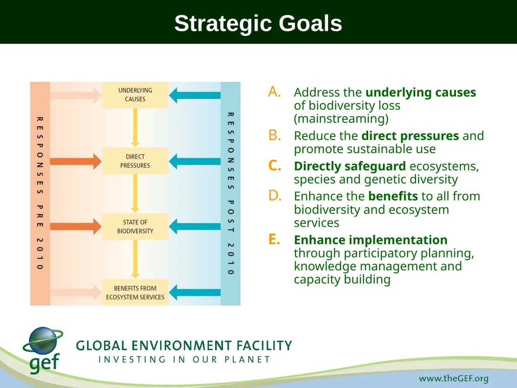 CBD Presentation A Decade for Biodiversity: - slide 5 of 12