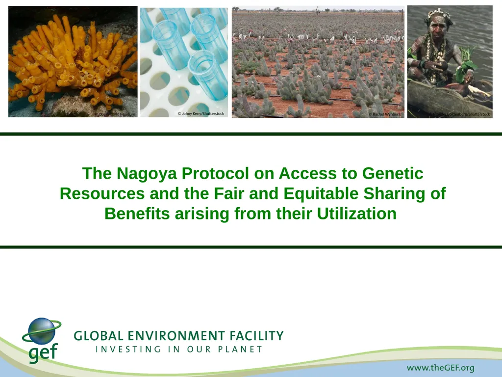 CBD Presentation A Decade for Biodiversity: - slide 6 of 12