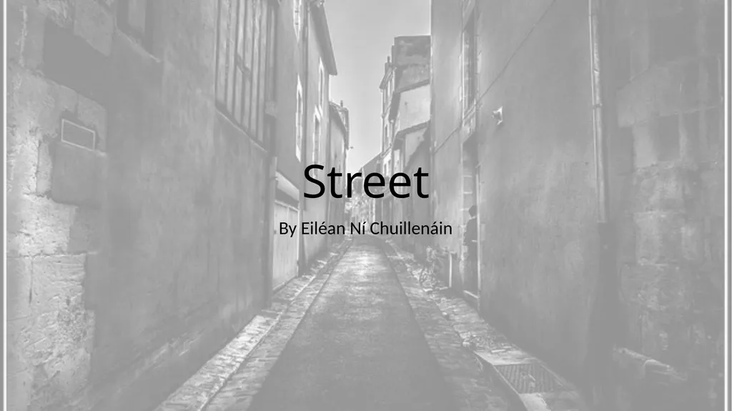 Street By Eiléan Ní Chuillenáin The poem tells of - slide 1 of 12