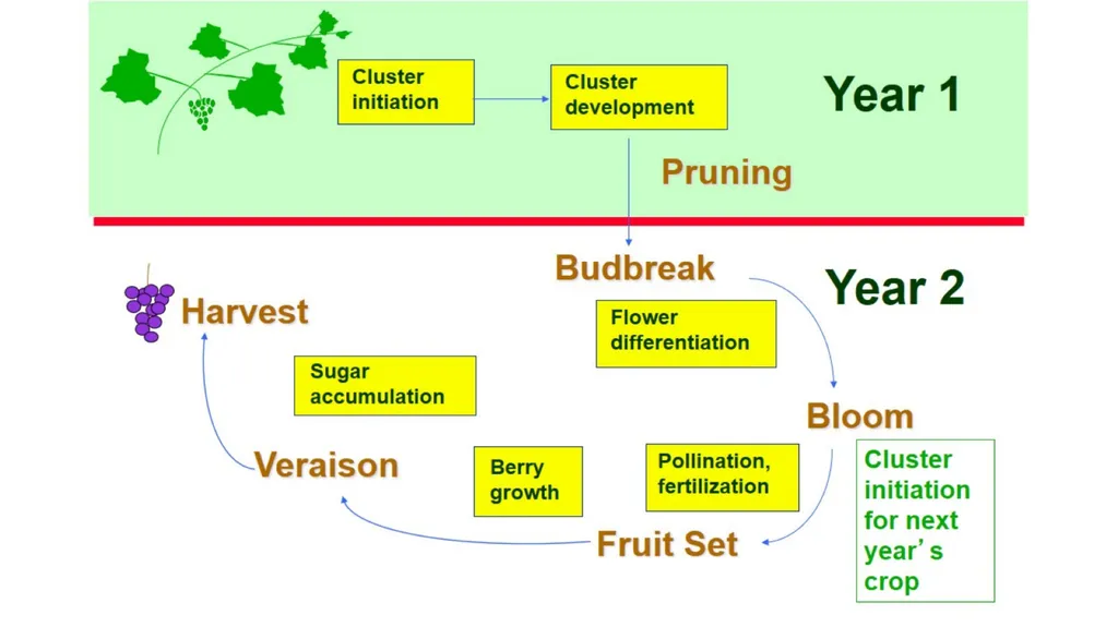 Factors to Consider Management Options Effect of - slide 13 of 14