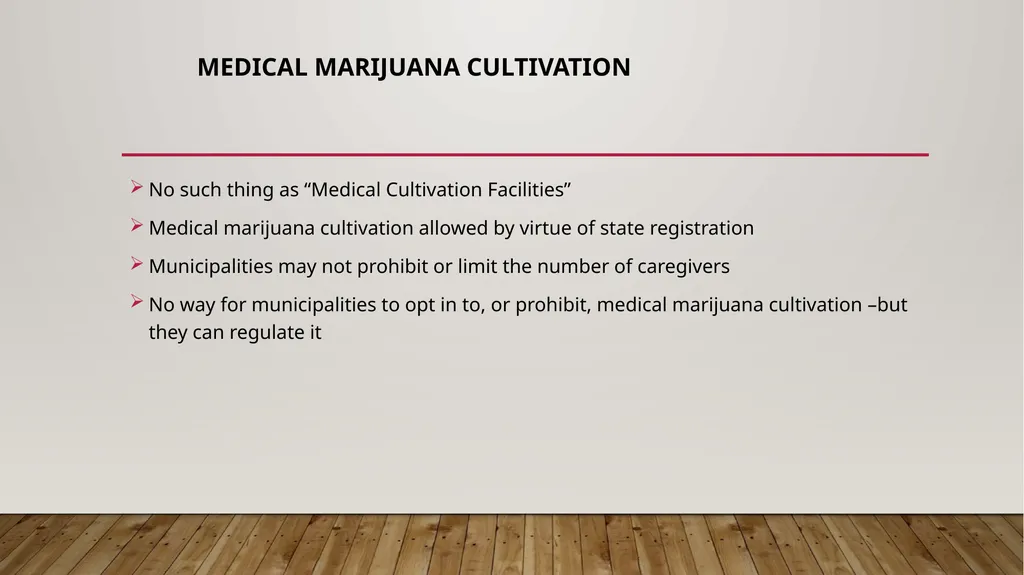 Marijuana Information Public Forum New Gloucester - slide 15 of 18