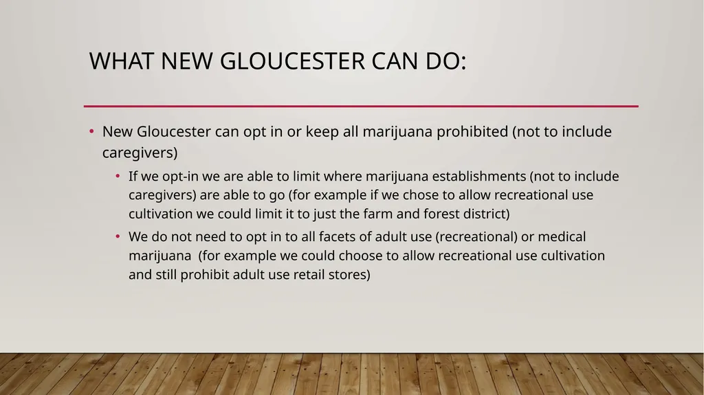 Marijuana Information Public Forum New Gloucester - slide 17 of 18