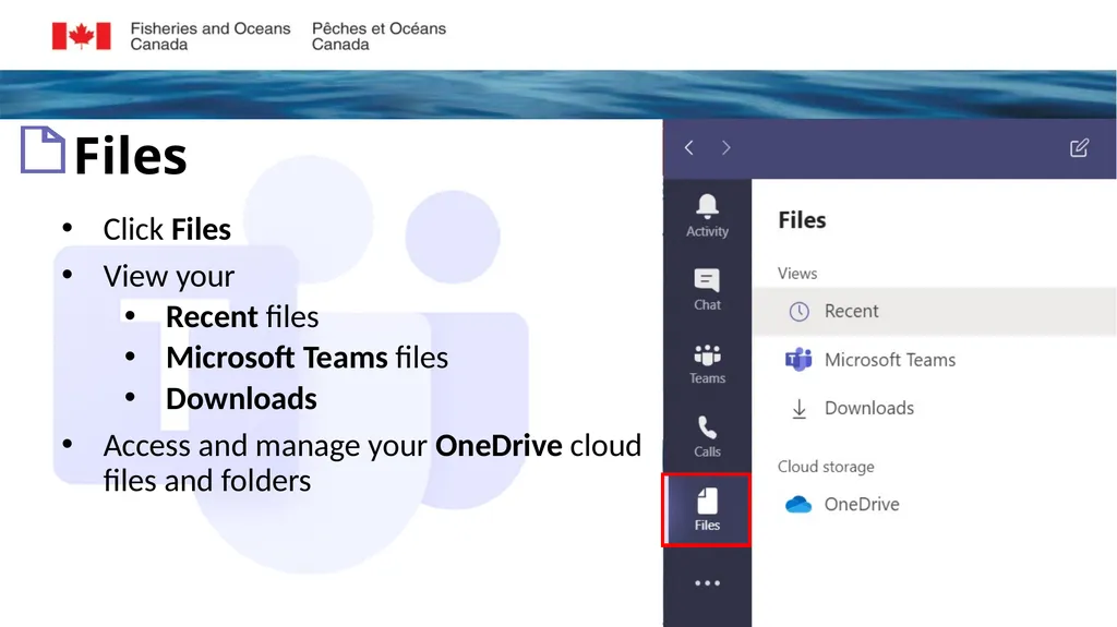 Microsoft Teams Training Module 2 NAVIGATING - slide 10 of 15