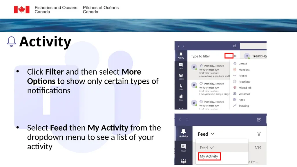 Microsoft Teams Training Module 2 NAVIGATING - slide 5 of 15