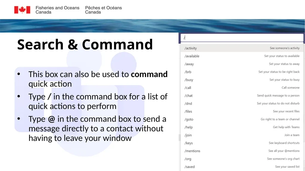 Microsoft Teams Training Module 2 NAVIGATING - slide 13 of 15