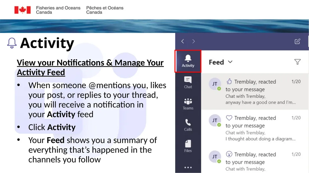 Microsoft Teams Training Module 2 NAVIGATING - slide 4 of 15