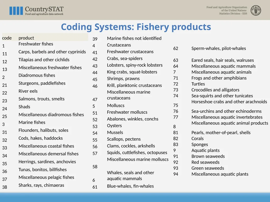 CountrySTAT / FENIX Overview of the Coding System - slide 21 of 29