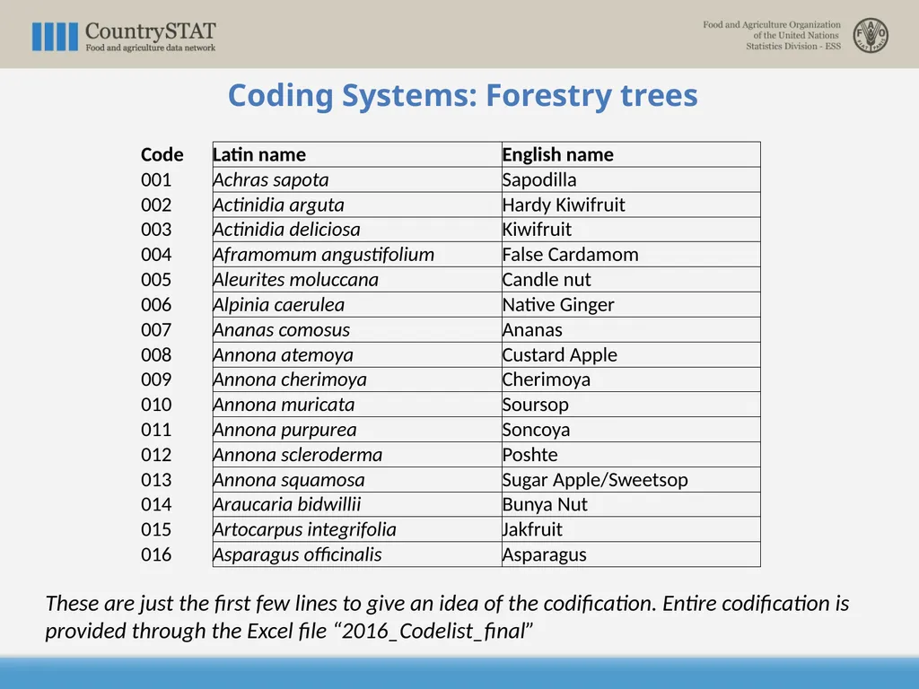 CountrySTAT / FENIX Overview of the Coding System - slide 24 of 29