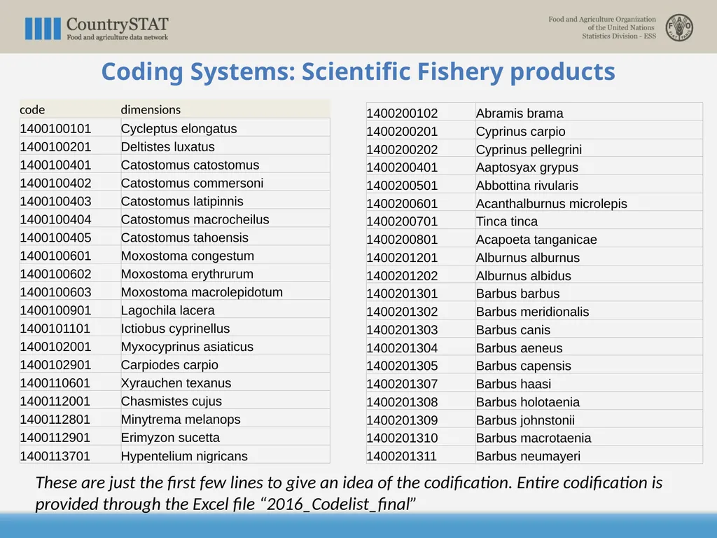CountrySTAT / FENIX Overview of the Coding System - slide 22 of 29