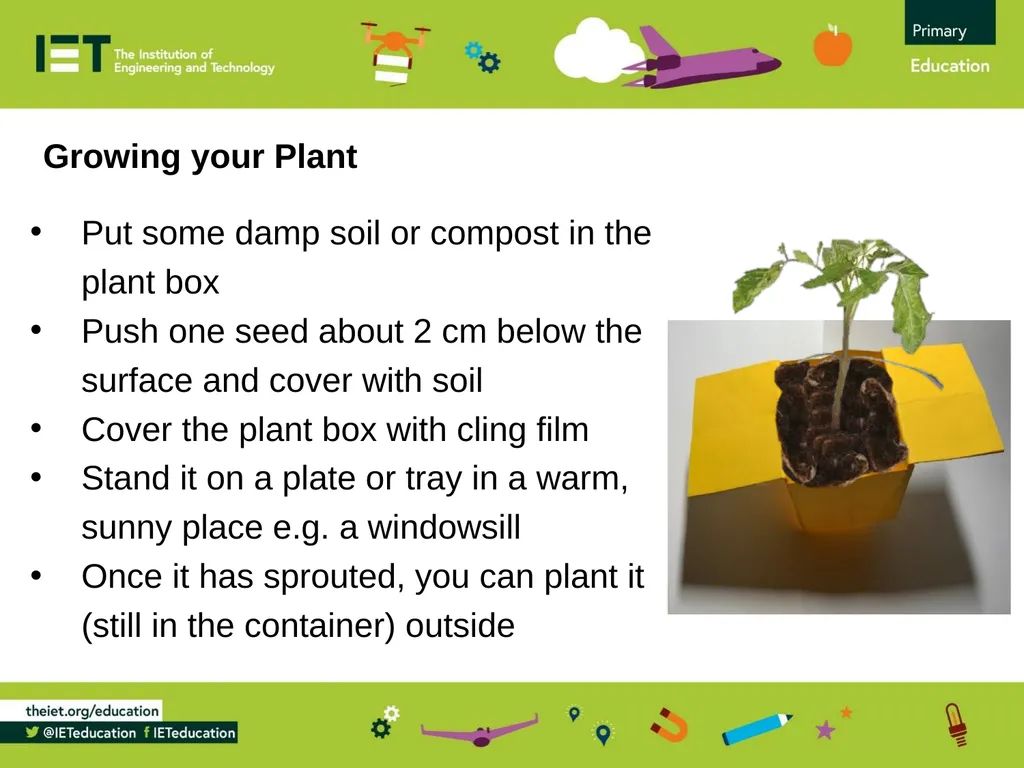DIY Paper Planters Making biodegradable paper - slide 15 of 15