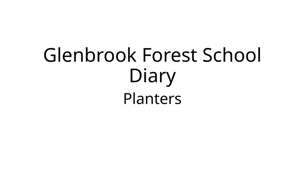 Glenbrook Forest School Diary Planters