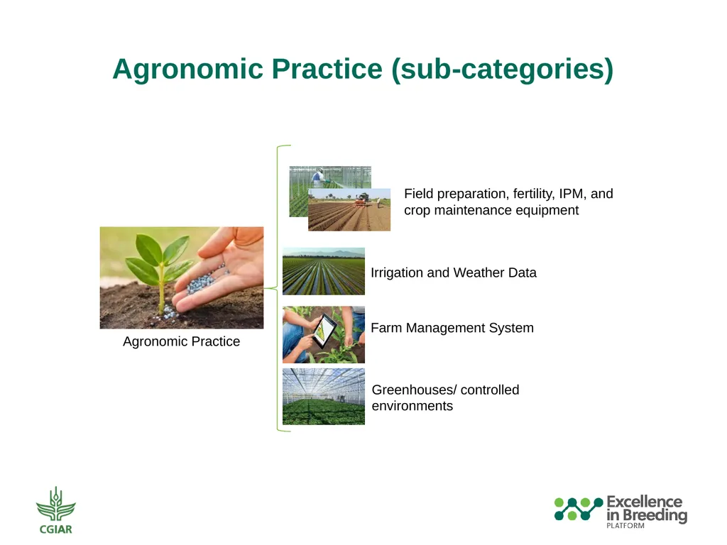 Automation and Mechanization Assessment Template - slide 3 of 31