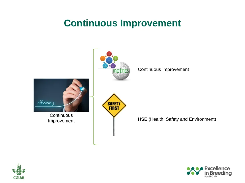 Automation and Mechanization Assessment Template - slide 29 of 31