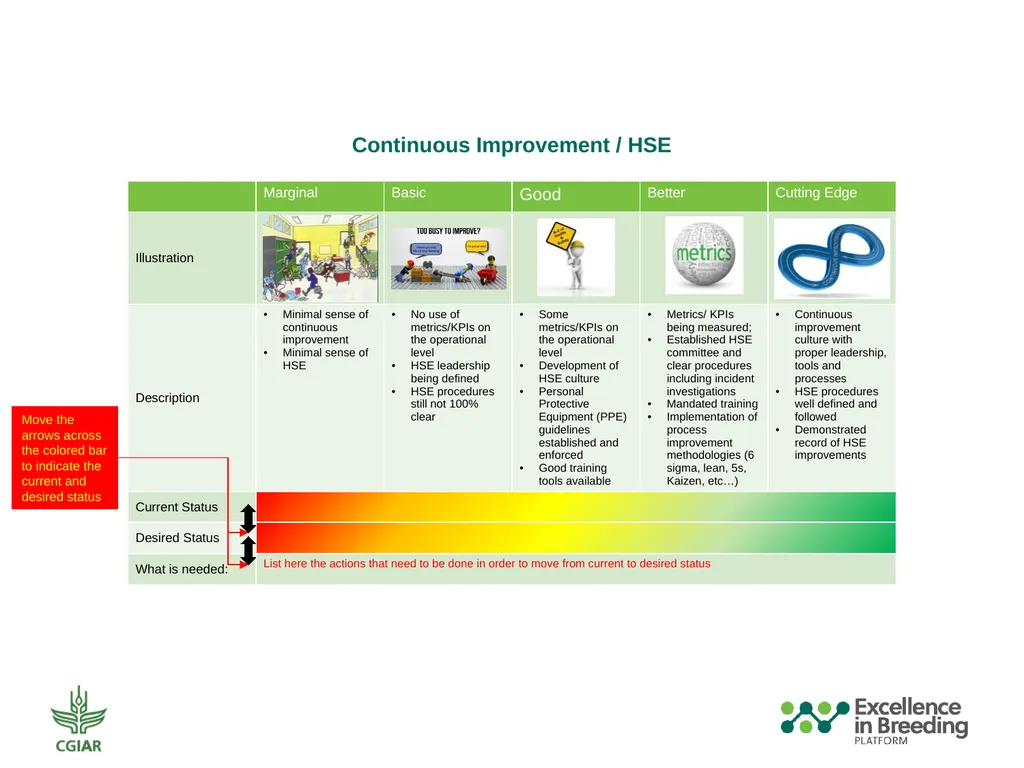Automation and Mechanization Assessment Template - slide 30 of 31