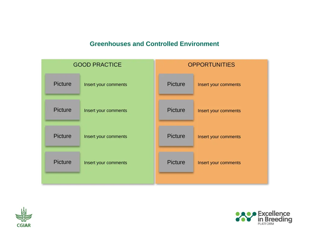 Automation and Mechanization Assessment Template - slide 11 of 31