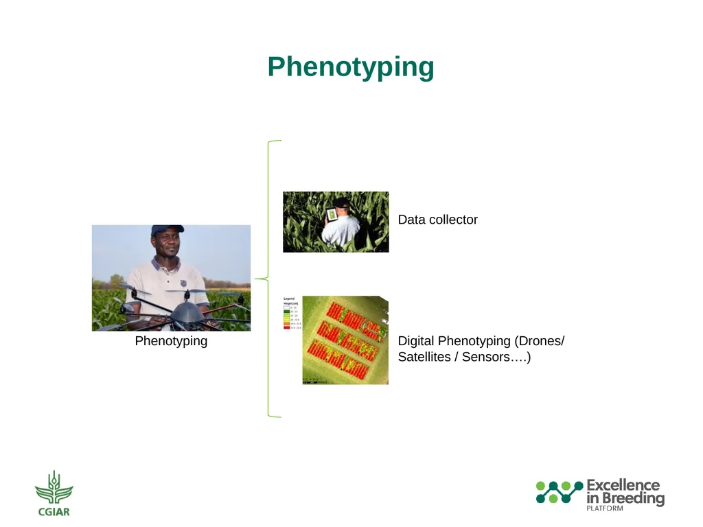 Automation and Mechanization Assessment Template - slide 25 of 31