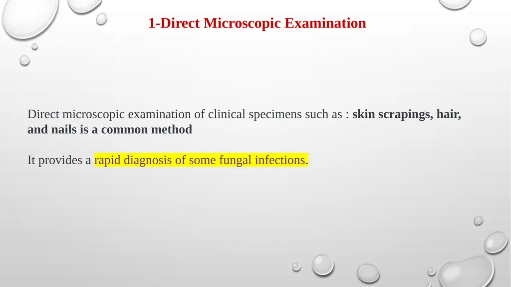 Medical Mycology Lab2 Mycosis What is Mycosis ? - slide 12 of 19