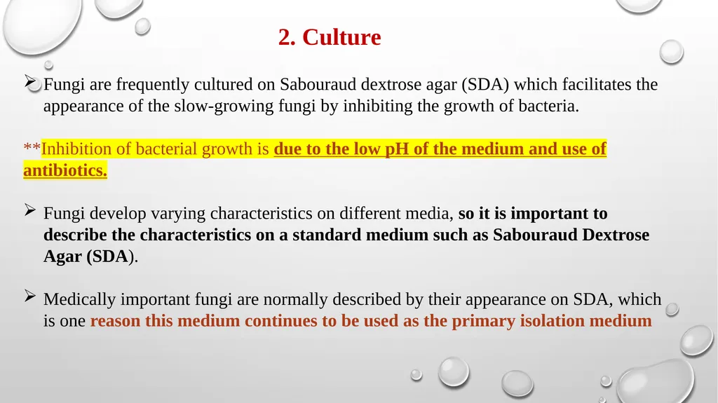 Medical Mycology Lab2 Mycosis What is Mycosis ? - slide 16 of 19