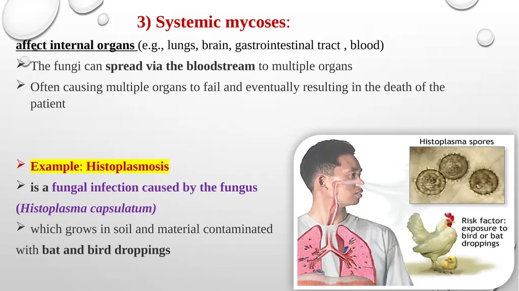 Medical Mycology Lab2 Mycosis What is Mycosis ? - slide 7 of 19