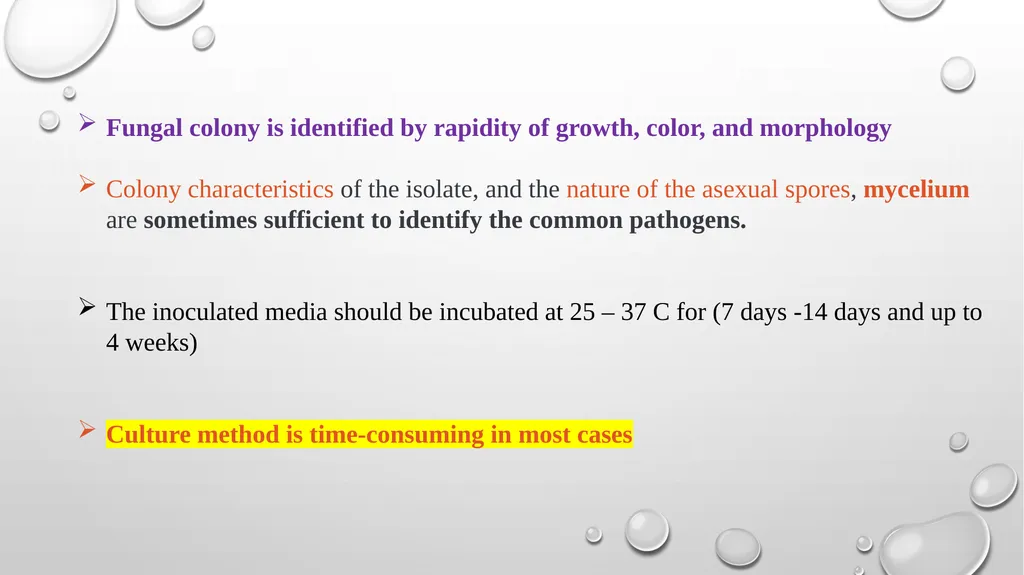 Medical Mycology Lab2 Mycosis What is Mycosis ? - slide 17 of 19