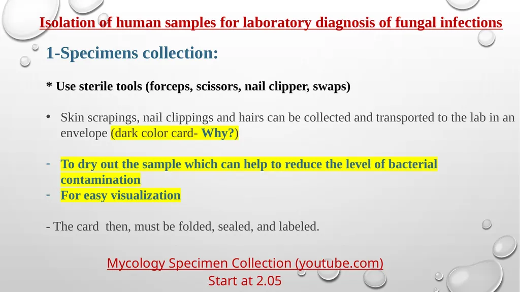 Medical Mycology Lab2 Mycosis What is Mycosis ? - slide 9 of 19