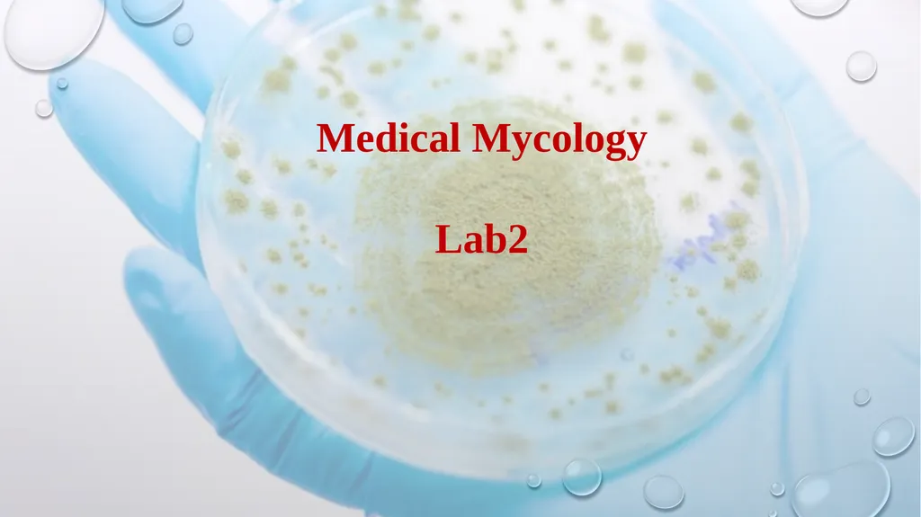 Medical Mycology Lab2 Mycosis What is Mycosis ? - slide 1 of 19