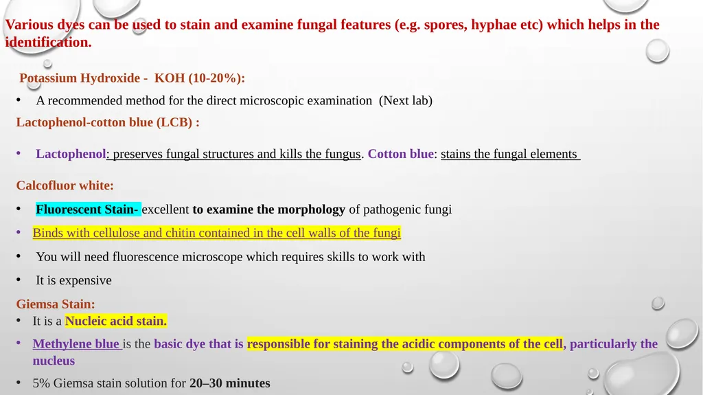 Medical Mycology Lab2 Mycosis What is Mycosis ? - slide 13 of 19