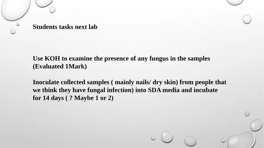 Medical Mycology Lab2 Mycosis What is Mycosis ? - slide 19 of 19