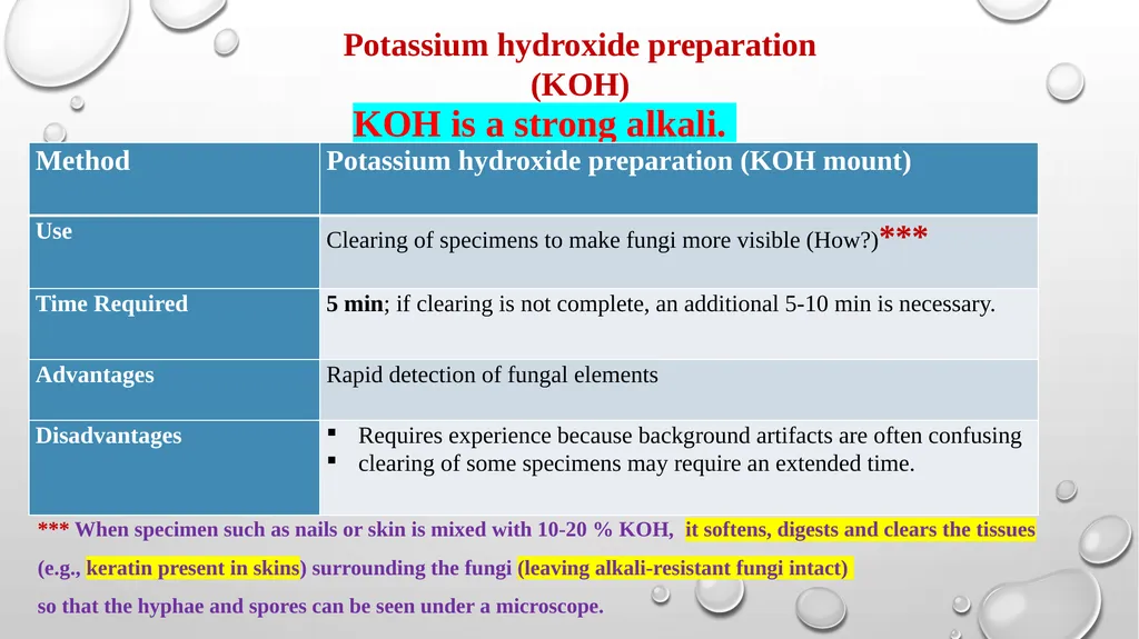 Medical Mycology Lab2 Mycosis What is Mycosis ? - slide 14 of 19