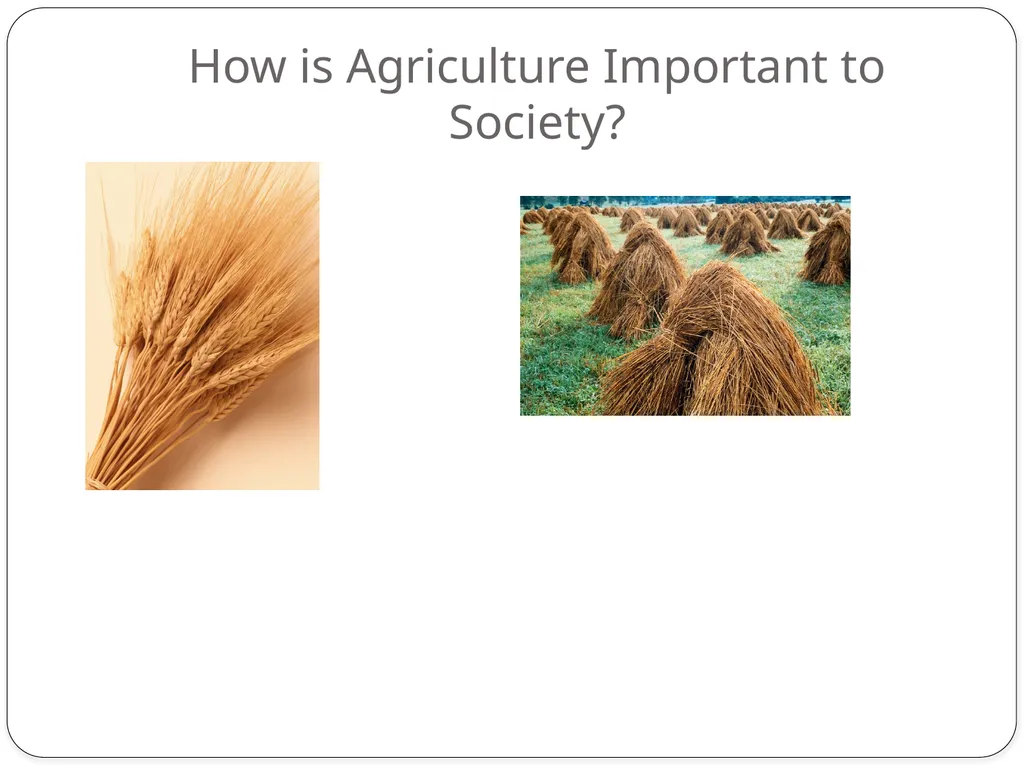 Ag Science 1 Understanding the Importance of - slide 2 of 22