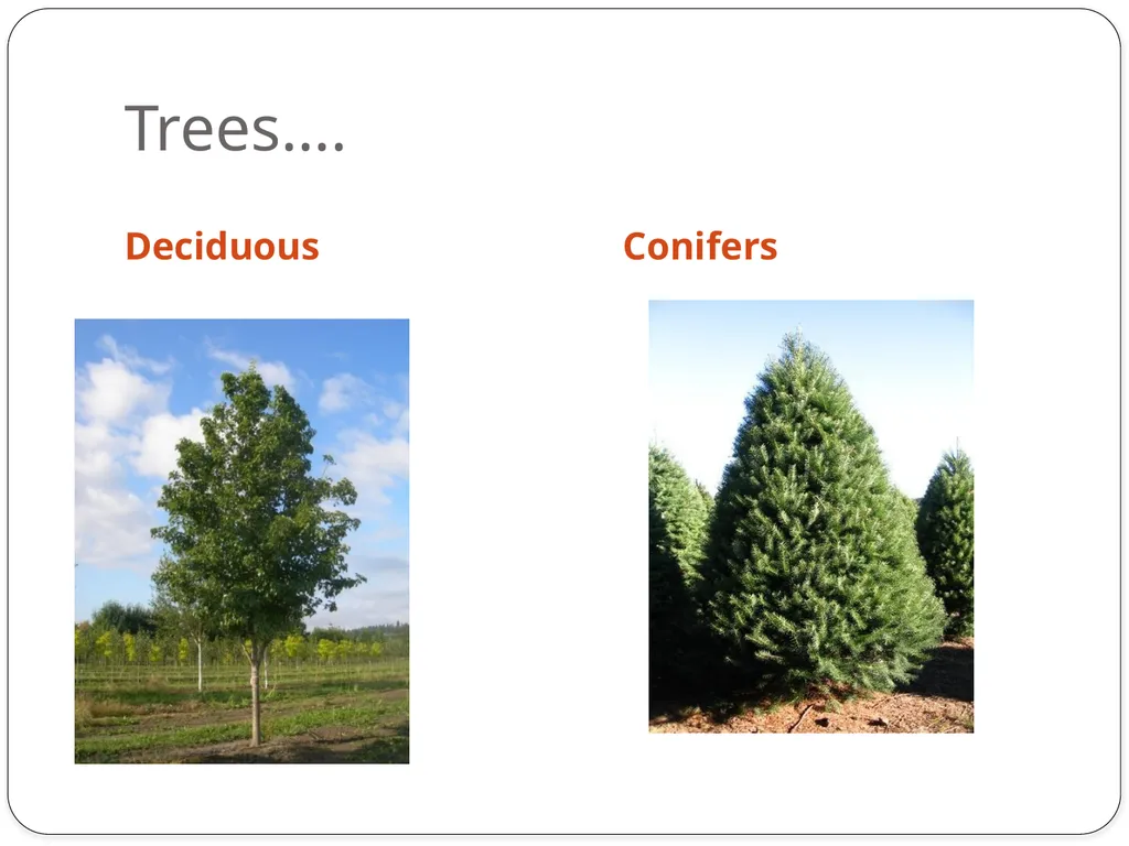 Ag Science 1 Understanding the Importance of - slide 21 of 22