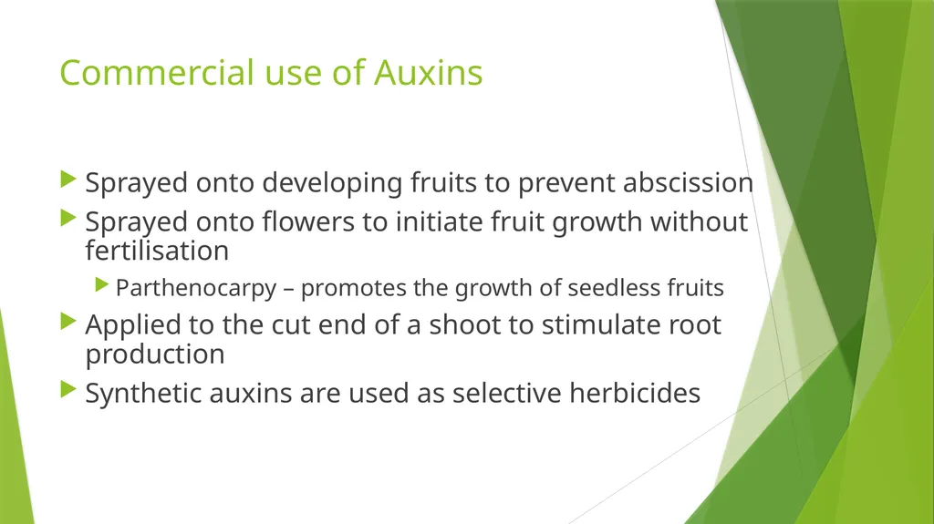 Abscission and Commercial hormones Spec Learning - slide 5 of 18