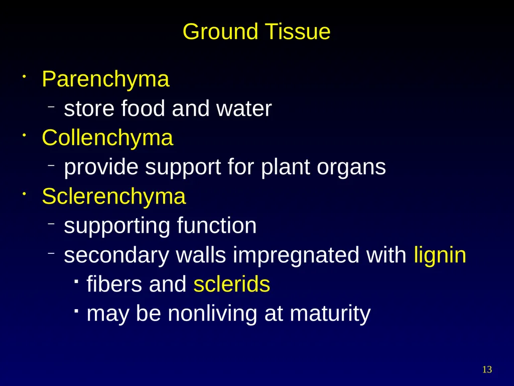Plant Form Chapter 35 Meristems Meristematic - slide 13 of 33