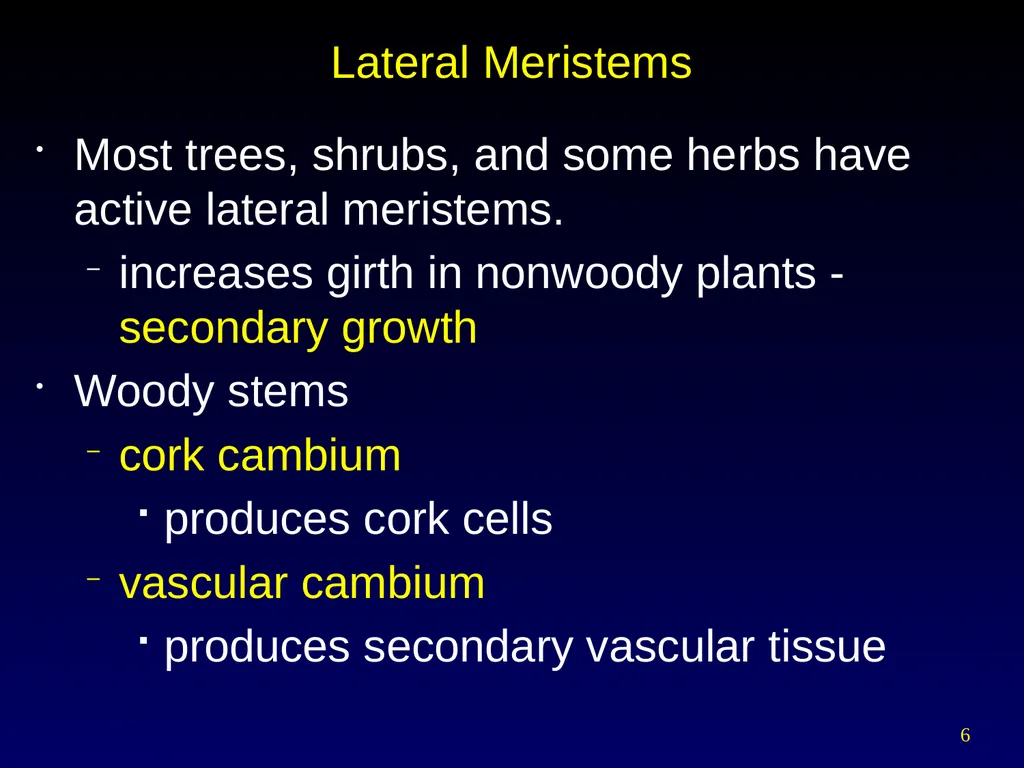 Plant Form Chapter 35 Meristems Meristematic - slide 6 of 33