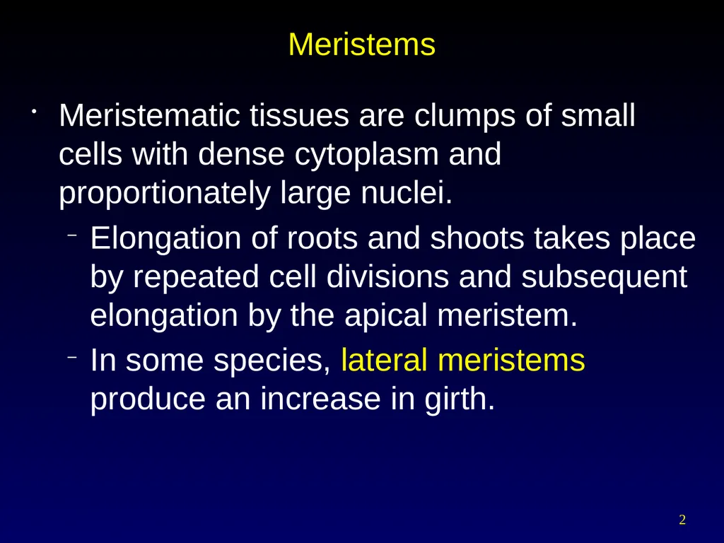Plant Form Chapter 35 Meristems Meristematic - slide 2 of 33