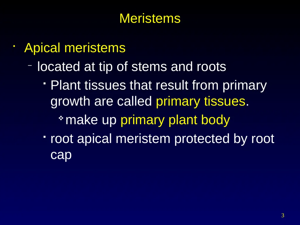 Plant Form Chapter 35 Meristems Meristematic - slide 3 of 33