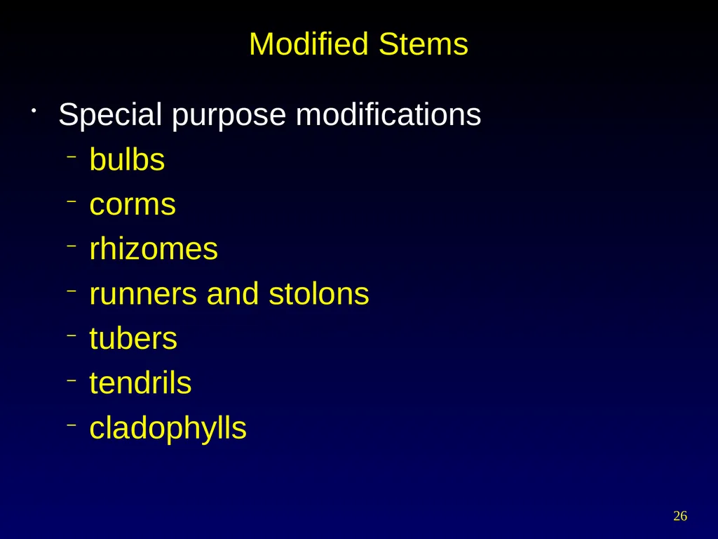 Plant Form Chapter 35 Meristems Meristematic - slide 26 of 33