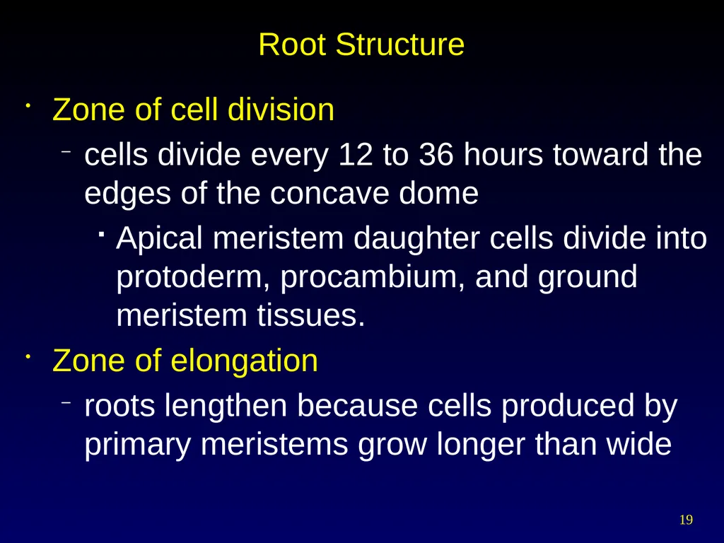 Plant Form Chapter 35 Meristems Meristematic - slide 19 of 33