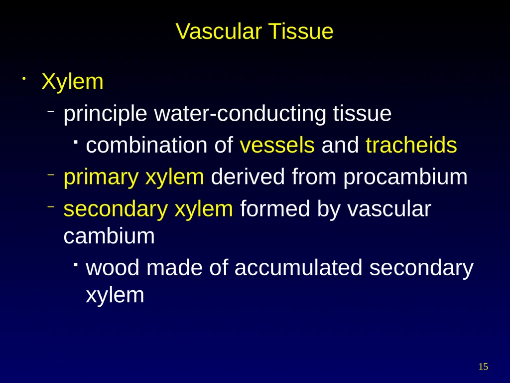 Plant Form Chapter 35 Meristems Meristematic - slide 15 of 33