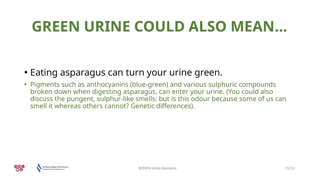 URINE TROUBLE URINE RESOURCE RCPATH Urine Resource - slide 11 of 13