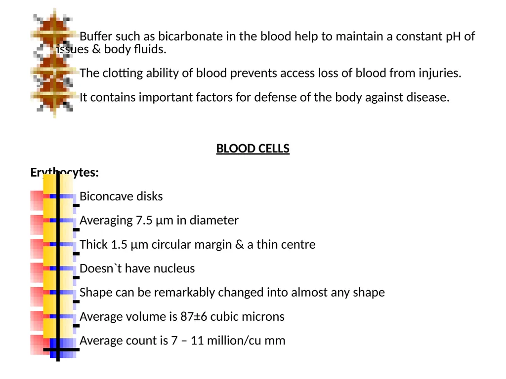 Veterinary Physiology- It is concerned with the - slide 4 of 29