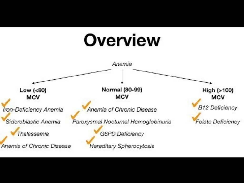 Veterinary Physiology- It is concerned with the - slide 18 of 29
