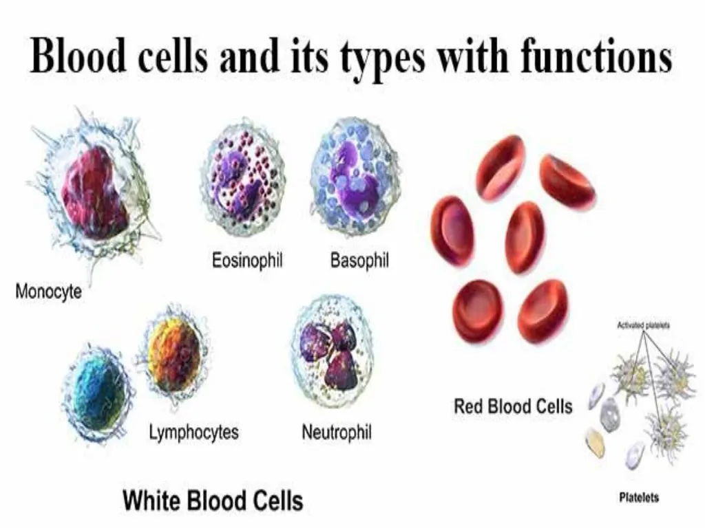 Veterinary Physiology- It is concerned with the - slide 5 of 29