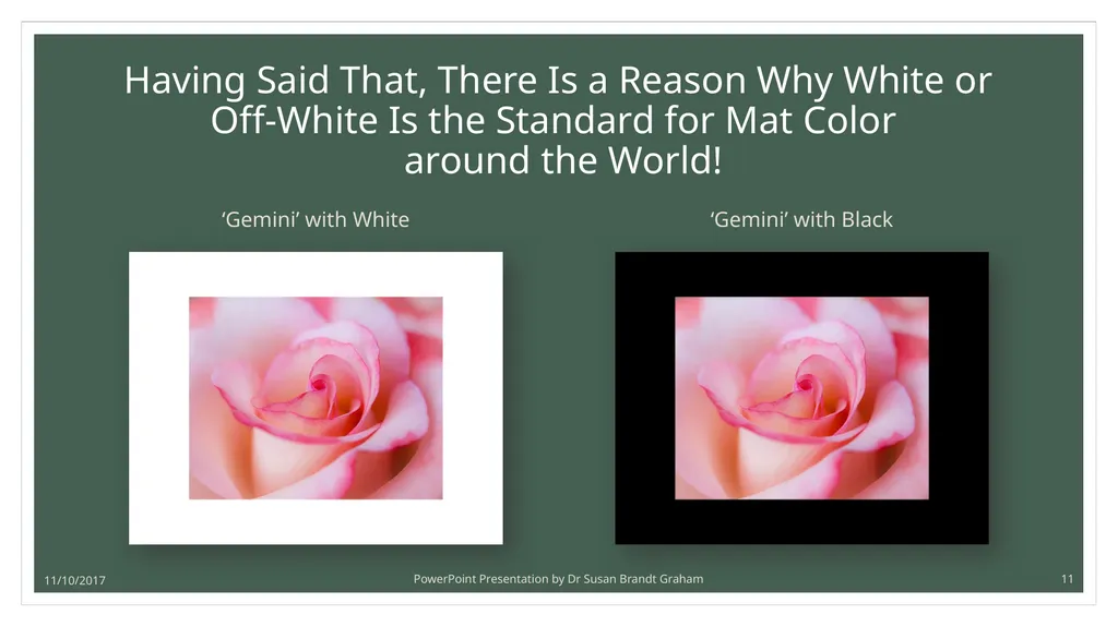 Photographing Roses: understanding and using the - slide 11 of 43